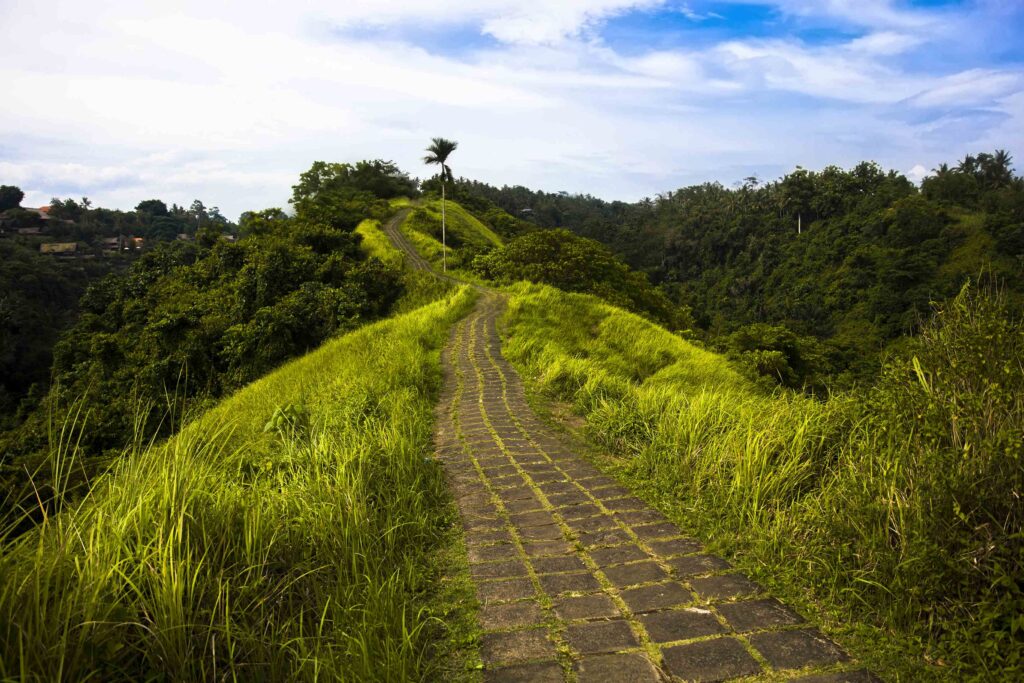 Campuhan Ridge Walk - Bali Holiday Packages from Hyderabad