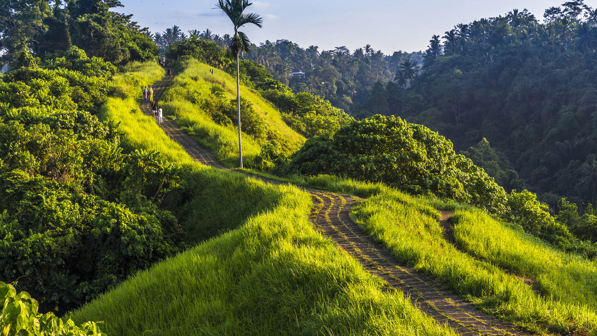 bali campuhan ridge walk - bali adventure packages form trivandrum