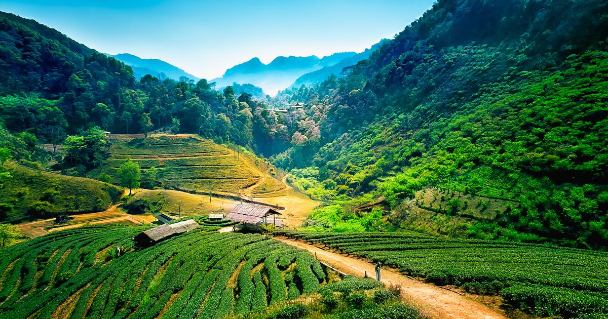 Chiang Mai - Thailand Vacation Packages from Chennai