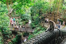 Ubud Monkey Forest- Bali holiday packages from jaipur