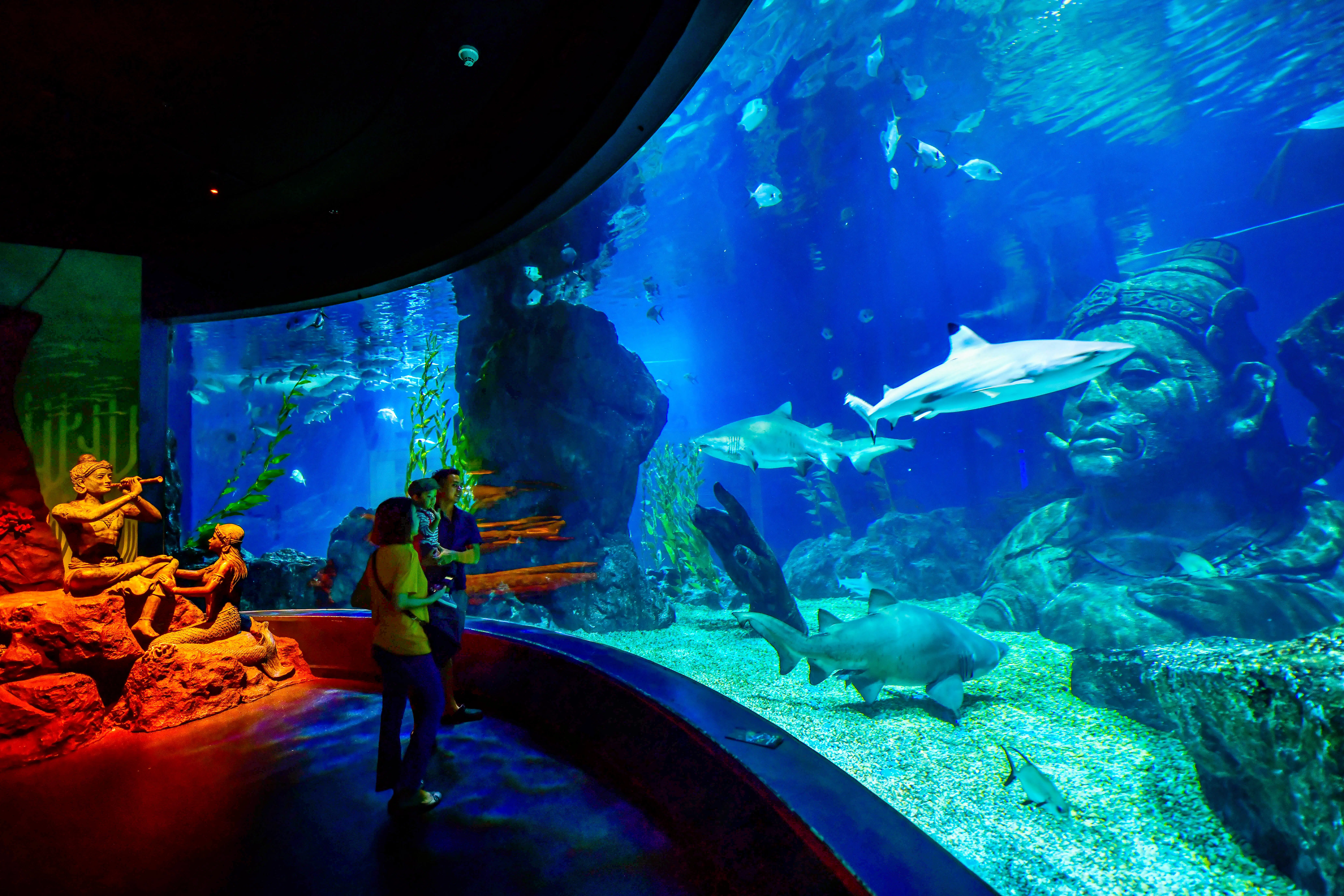 Ocean World in Thailand - Thailand holiday packages from kolkata