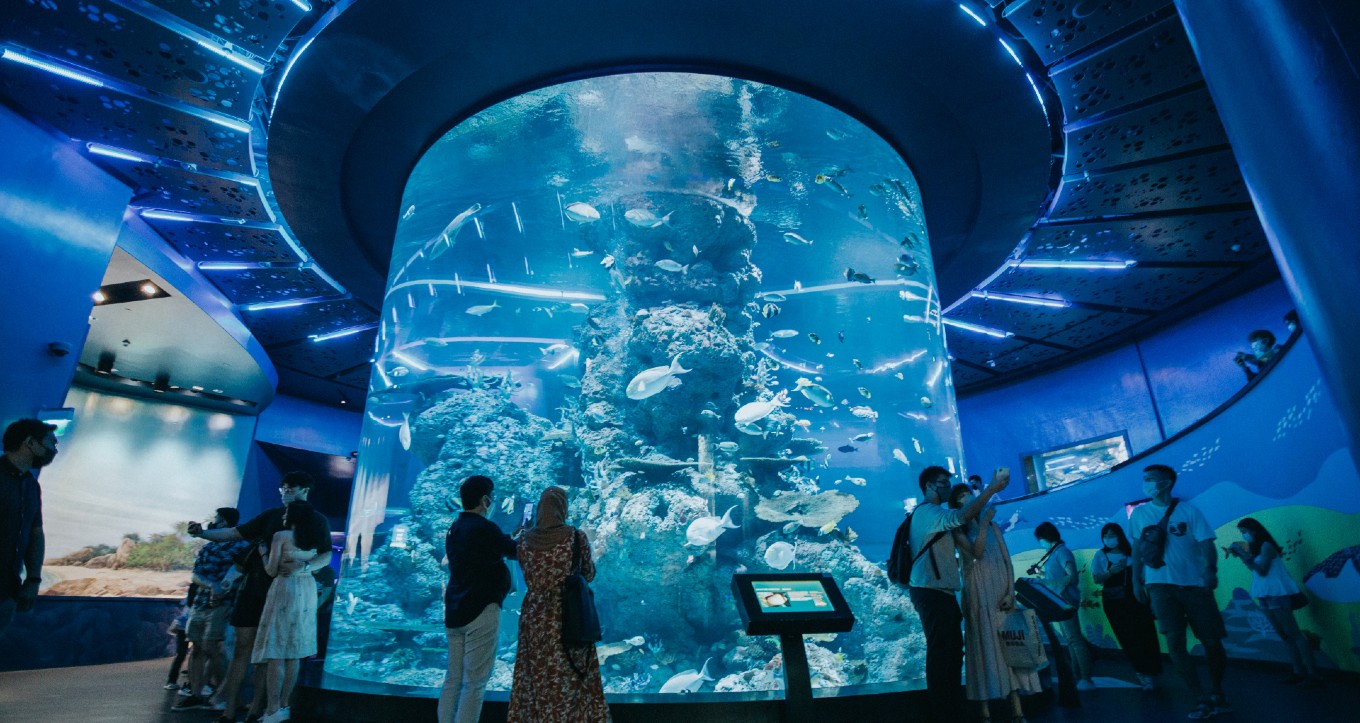 S.E.A. Aquarium - Singapore Travel Packages from Vadodara