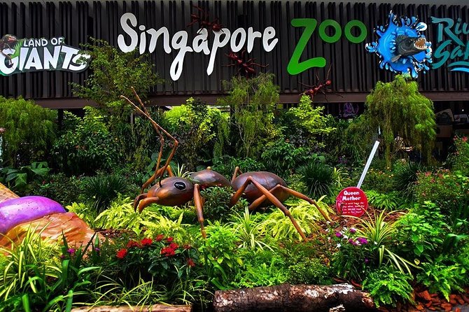 Singapore zoo - Singapore Vacation Packages from Hyderabad