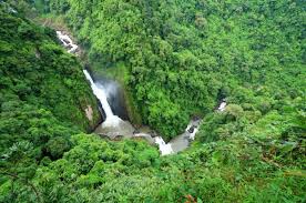 Khai Yai National Park - Thailand trip packages from kolkata