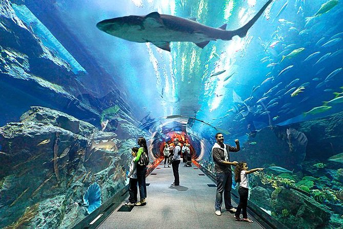 Ocean World in Thailand - Thailand vacation packages from hyderabad