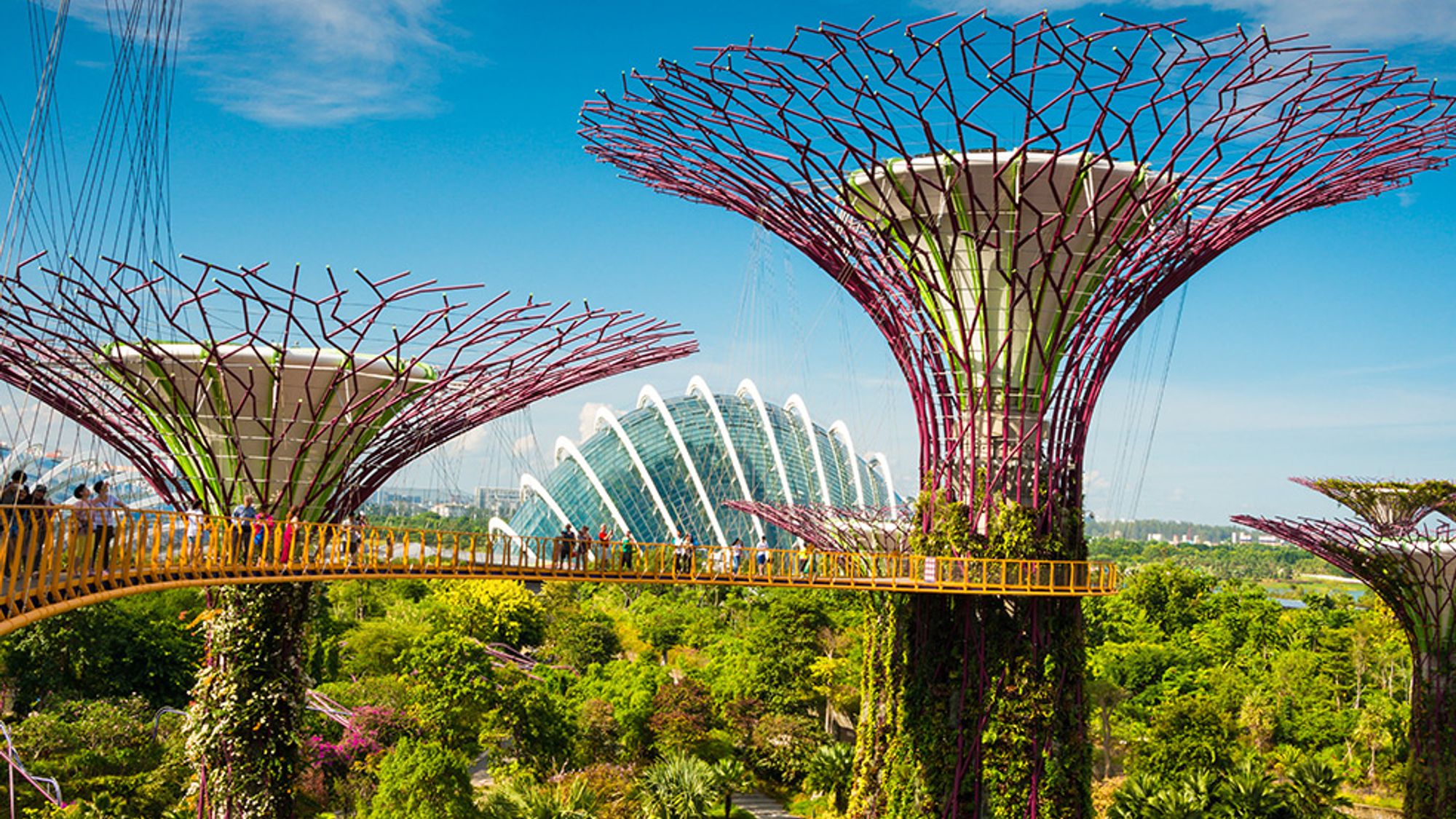 Gardens by the Bay - Singapore Tour Packages from Vadodara