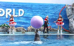 Safari World & Marine Park - Thailand packages from Hyderabad
