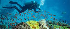 Andaman Tour Package From Chennai