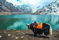 Sikkim Tour Packages from Delhi