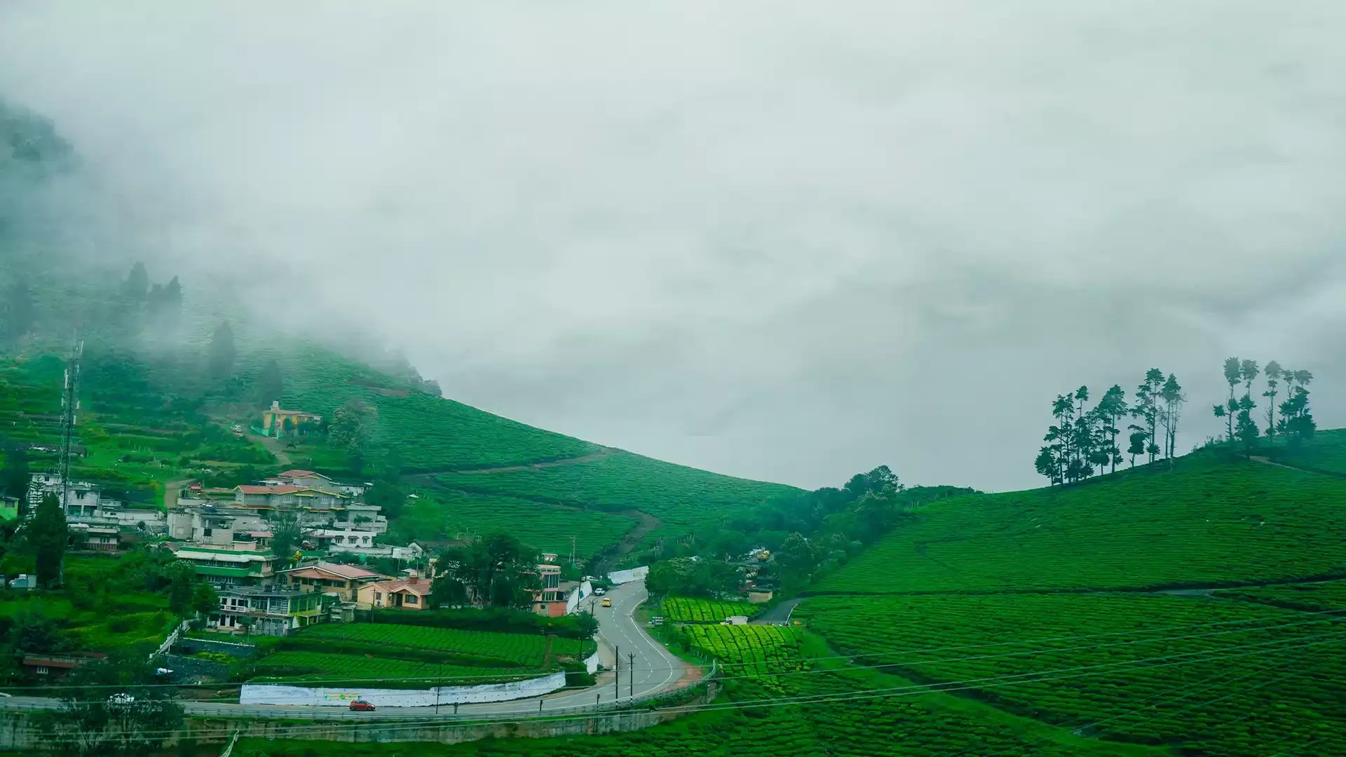 20 Best Places to Visit in Ooty 2025