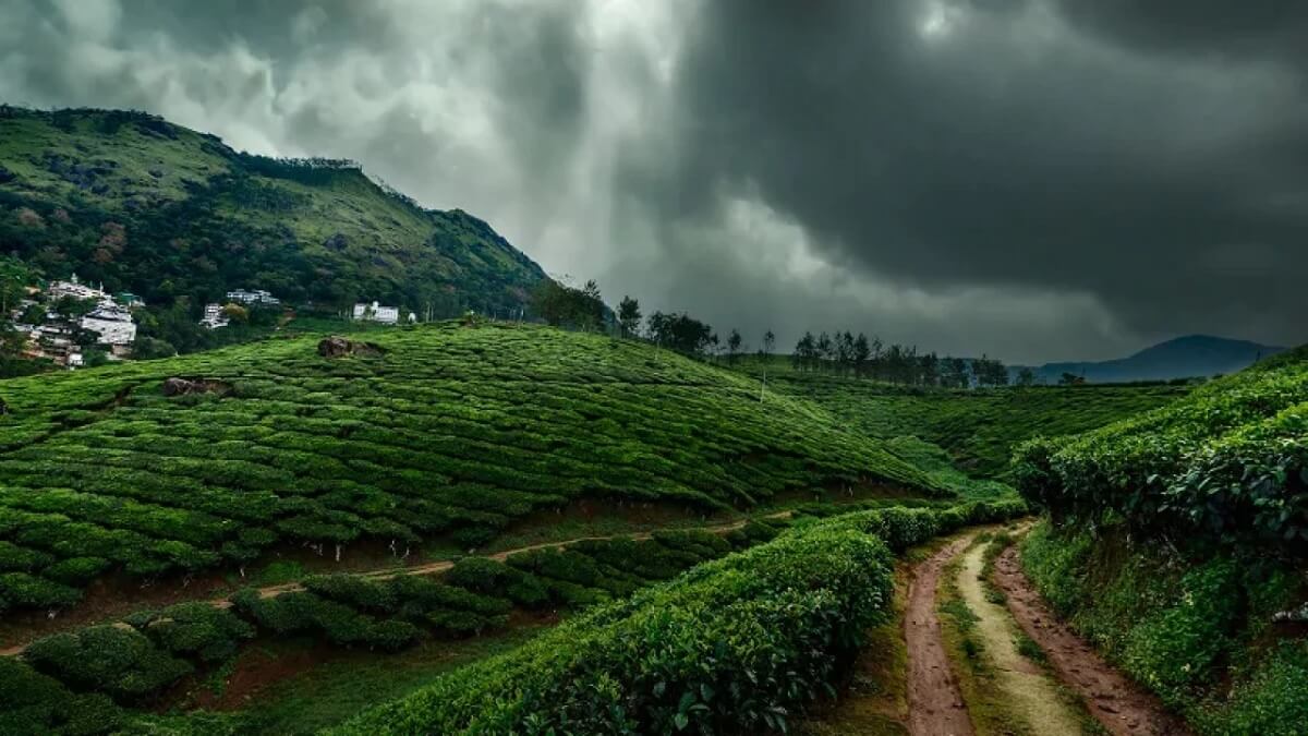 20 Best Places to Visit in India During Monsoon 2025