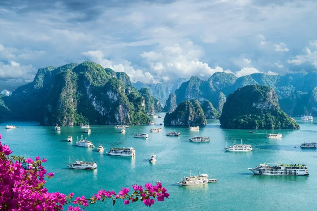 Vietnam In December 2025: Weather, Insider Tips, Best Time to Visit, and Things to Do 