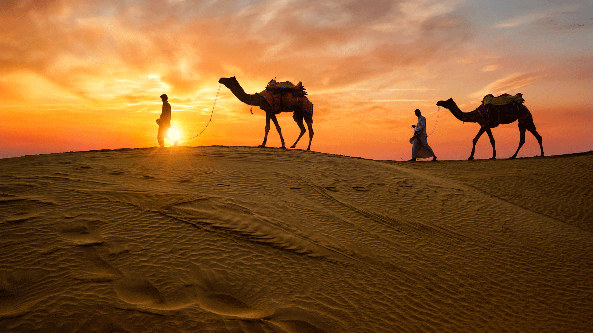 1658583032_532728-rajasthan-camels-desert-india.gif