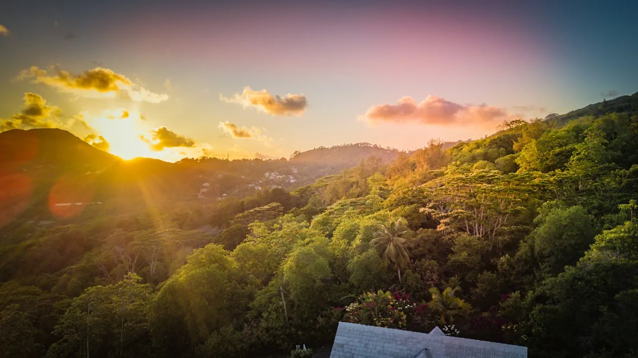 Charming Highlights of Seychelles