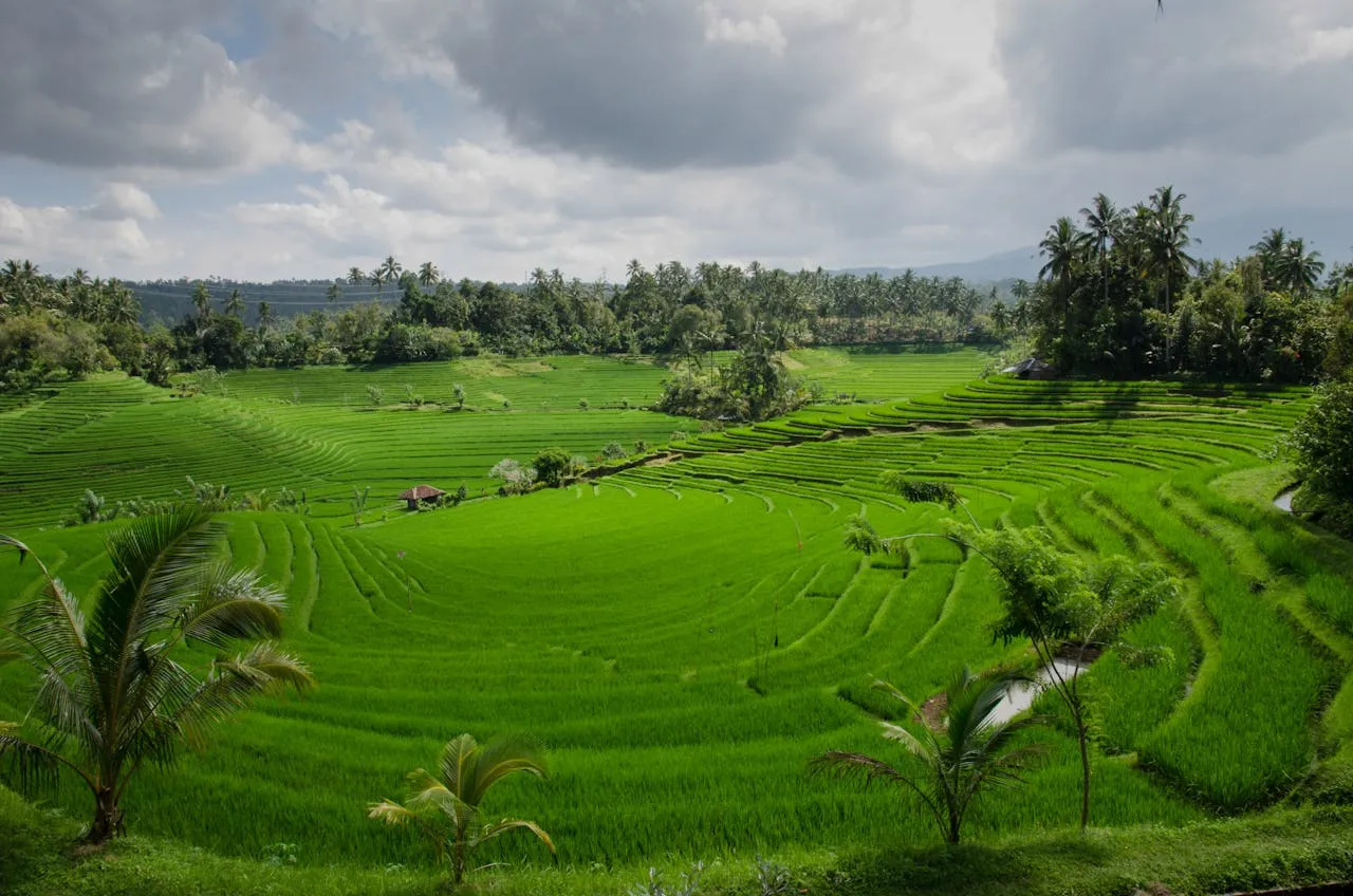 Bali Group tour Package from India 7 Nights