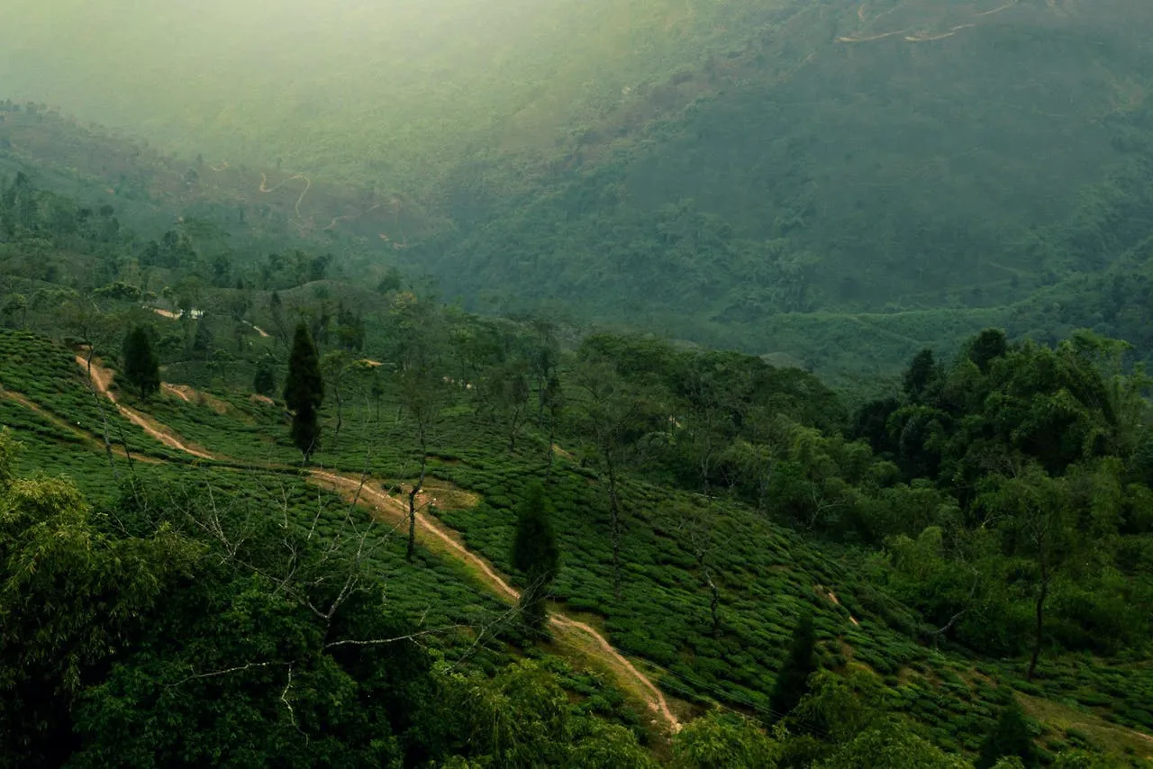 5 Nights and 6 Days Gangtok–North Sikkim Budget Trail