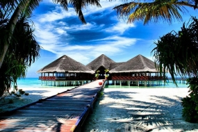 Medhufushi Island Resort (2N Beach Villa  + 2N 	Water Villa)