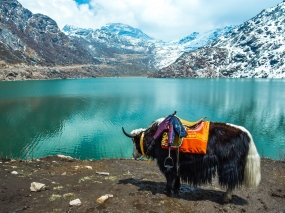 Marvellous Sikkim