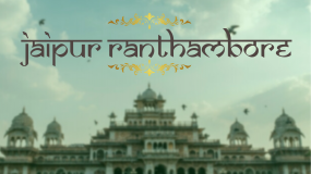 Jaipur with Ranthambore