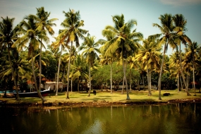 5N 6D Kerala Trip 