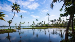 03N 04D Kerala 
