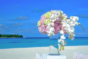 03N 04D  Dreamland Maldives 