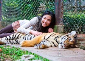 Phuket Krabi Package with Tiger Kingdom