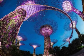 Explore Singapore with Free Gardens By The Bay 