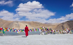 Adventures Ladakh | Free Double - Humped Camel Ride
