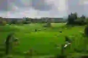 Bali Group tour Package from India 7 Nights