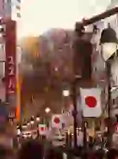 Enchanting Japan 6N 7D Tour Package
