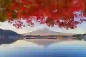 Japan 5 Nights Tokyo Tour Package 