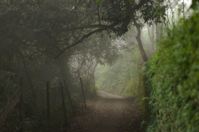 Ooty